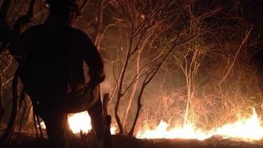 Mano criminal provoca cuatro incendios en   Parque Diriá