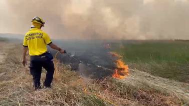 Bomberos luchan contra incendios en Los Chiles que ya consumieron 200 hectáreas