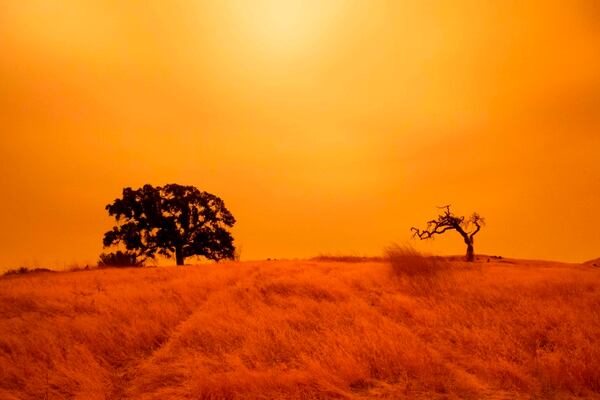 Un cielo naranja lleno de humo de incendios forestales se observa en el Limeridge Open Space, en Concord, California, el 9 de setiembre del 2020. Foto: AFP