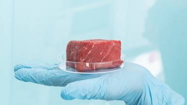 Revolución en la industria de la carne ya empezó