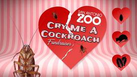 Zoológico en Estados Unidos promueve campaña para ponerle el nombre de su expareja a una cucaracha 