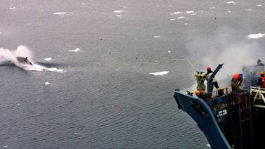 Dos balleneros japoneses zarpan hacia la Antártida