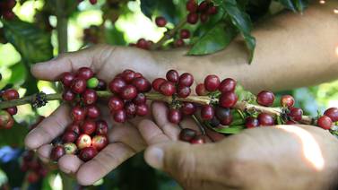 Costa Rica lleva su café y vacas a la cumbre del clima
