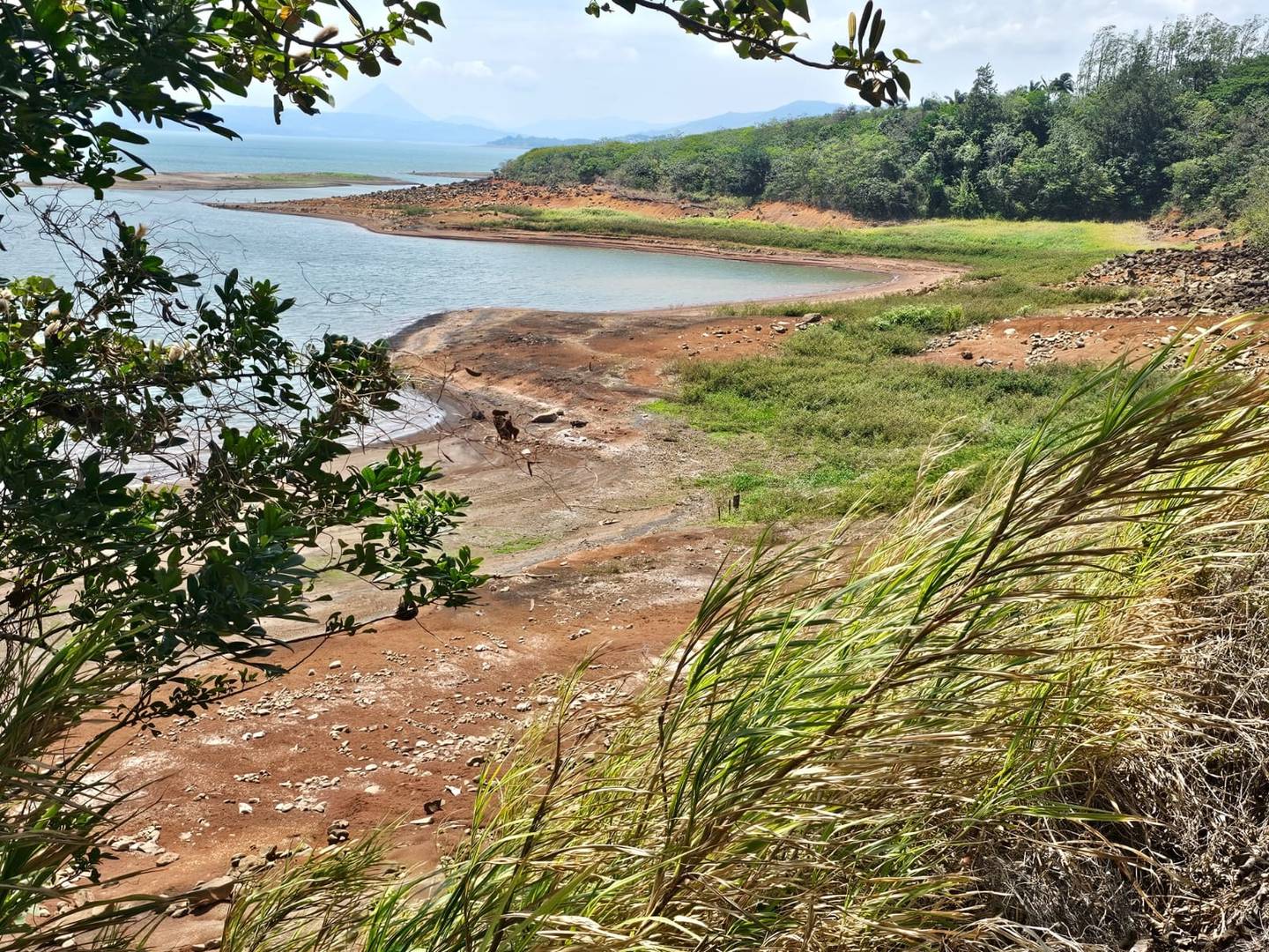 Imagen este 7 de mayo de 2024 del embalse Arenal. En Costa Rica, las lluvias son clave para generar electricidad: las plantas hídricas aportan más del 70% de la electricidad consumida. Fotografía: Wini Chaves para LN.