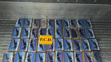 Autoridades decomisan 40 paquetes de cocaína escondidos en contenedor de frutas en APM Terminals
