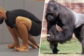 La caminata del gorila: El ejercicio que imita a los simios mejora la fuerza y el equilibrio
