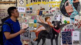 Conozca al perro ícono de la resistencia social en Chile