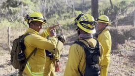 Bomberos controlan seis incendios forestales en el Pacífico
