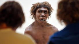 ¿Realmento los neandertales enterraban a sus muertos? Esto concluye un nuevo estudio