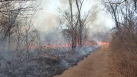 Incendio consume 1.400 hectáreas en reserva forestal 