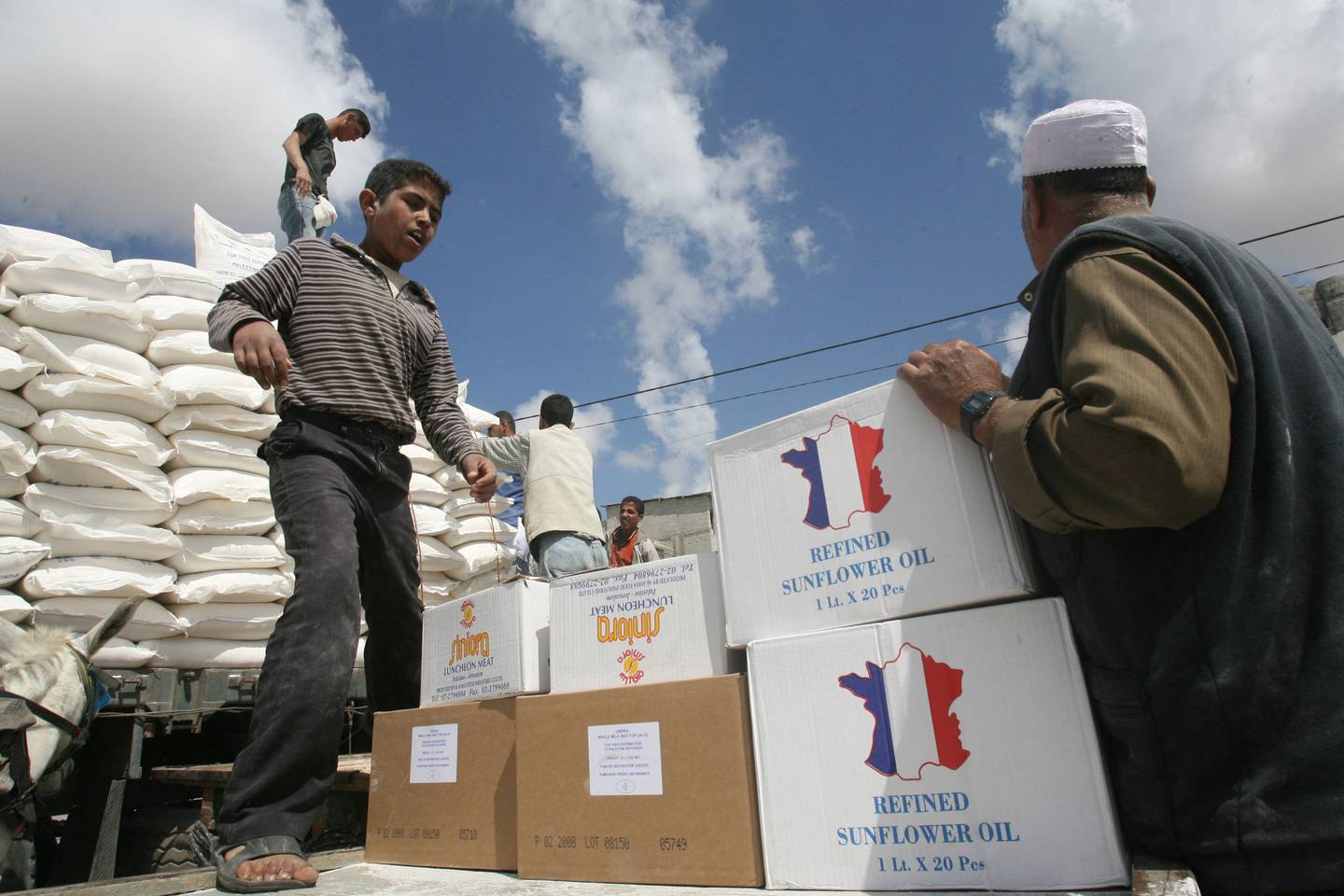Refugiados palestinos cargan ayuda alimentaria que recibieron de la Agencia de Obras Públicas y Socorro de las Naciones Unidas para los Refugiados de Palestina (UNRWA) en Rafah, en el sur de la Franja de Gaza.