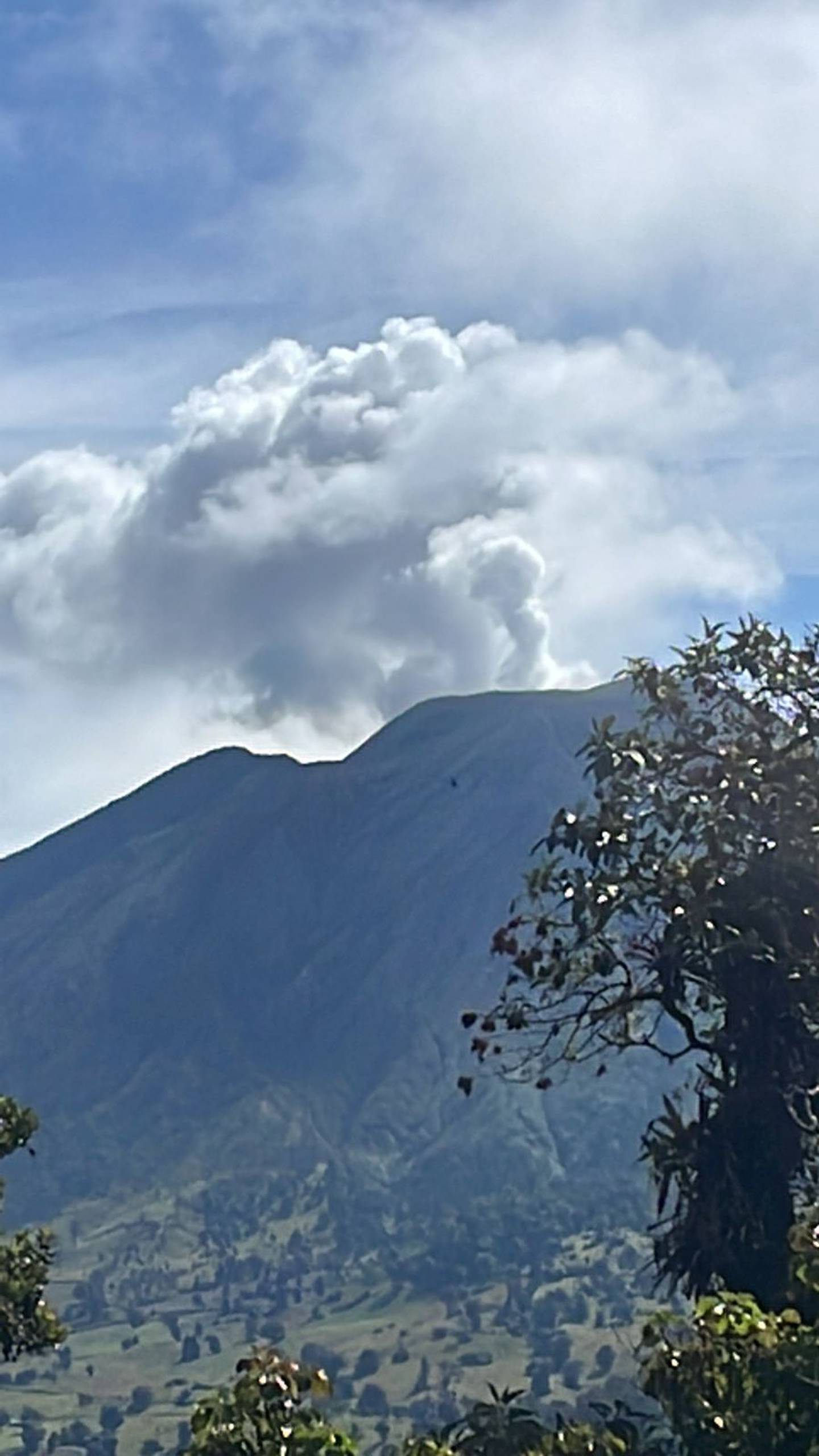Las columnas de vapor en la cima de volcanes prevalecen varios años después de que termina una fuerte fase eruptiva. Este miércoles el volcán Turrialba mostró esa inofensiva actividad. Foto: Cortesía Javier Pacheco/Ovsicori.