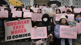 Parlamento de Corea del Sur prohíbe comercio de carne de perro