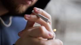 Consumo ocasional de marihuana entre ticos se triplicó en últimos cinco años