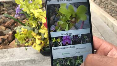 Aplicación móvil identifica plantas nativas con imágenes e invoca al botánico que habita en usted