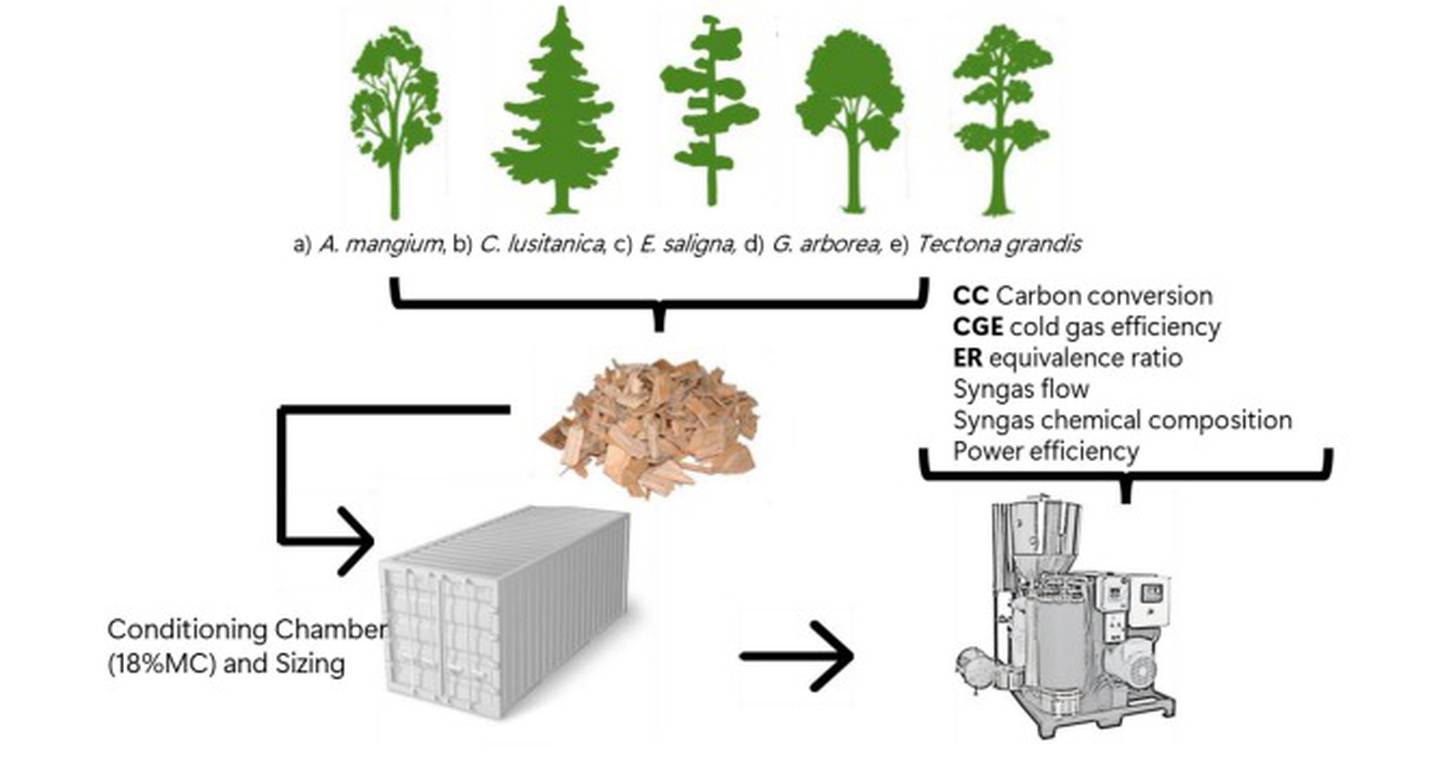 Proceso de electricidad a través de madera.

Imagen: Waste and Biomass Valorization