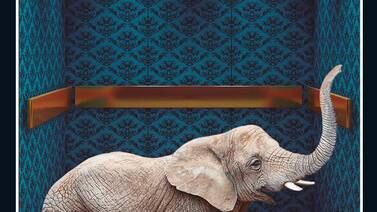 Librero: una brújula trastornada en 'El elefante desaparece'