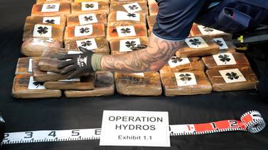 Incautan suficiente cocaína en Nueva Zelanda para abastecer al país durante 30 años