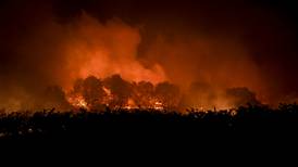 Incendios forestales se duplicaron en últimos 20 años en todo el mundo, según estudio