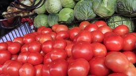 Precio del tomate se disparó por fenómenos climáticos pero ahora tiende a la normalidad 