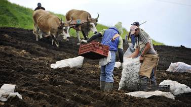  Empresarios agrícolas más optimistas este trimestre