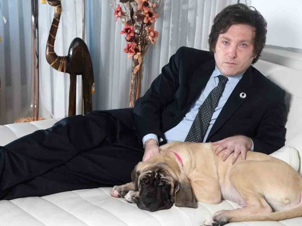 La médium Celia Melamed, quien prestó servicios a Javier Milei, presidente de Argentina, compartió en una reciente entrevista cuál era la relación entre el mandatario y su perro fallecido.