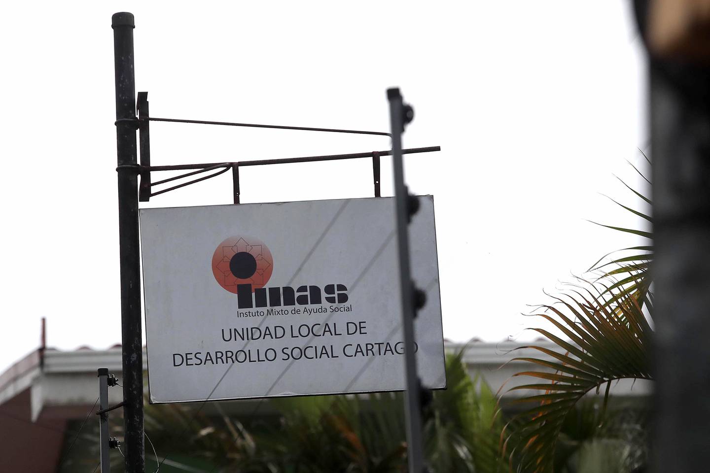 Sala IV condena al IMAS por suspender beca Avancemos a menores de edad | La  Nación