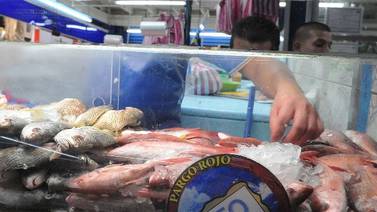 Nueva norma de etiquetado prohíbe que se altere nombre de pescados
