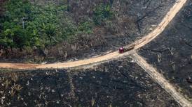 Amazonía brasileña registra deforestación récord para mes de abril