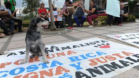Decenas reclaman justicia por asesinato de perro en Pavas