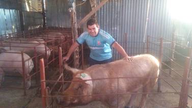 Exmundialista tico de Egipto 2009 ahora se dedica a criar cerdos