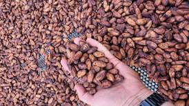 Precios del cacao alcanzan máximos históricos impulsados por escasez de oferta