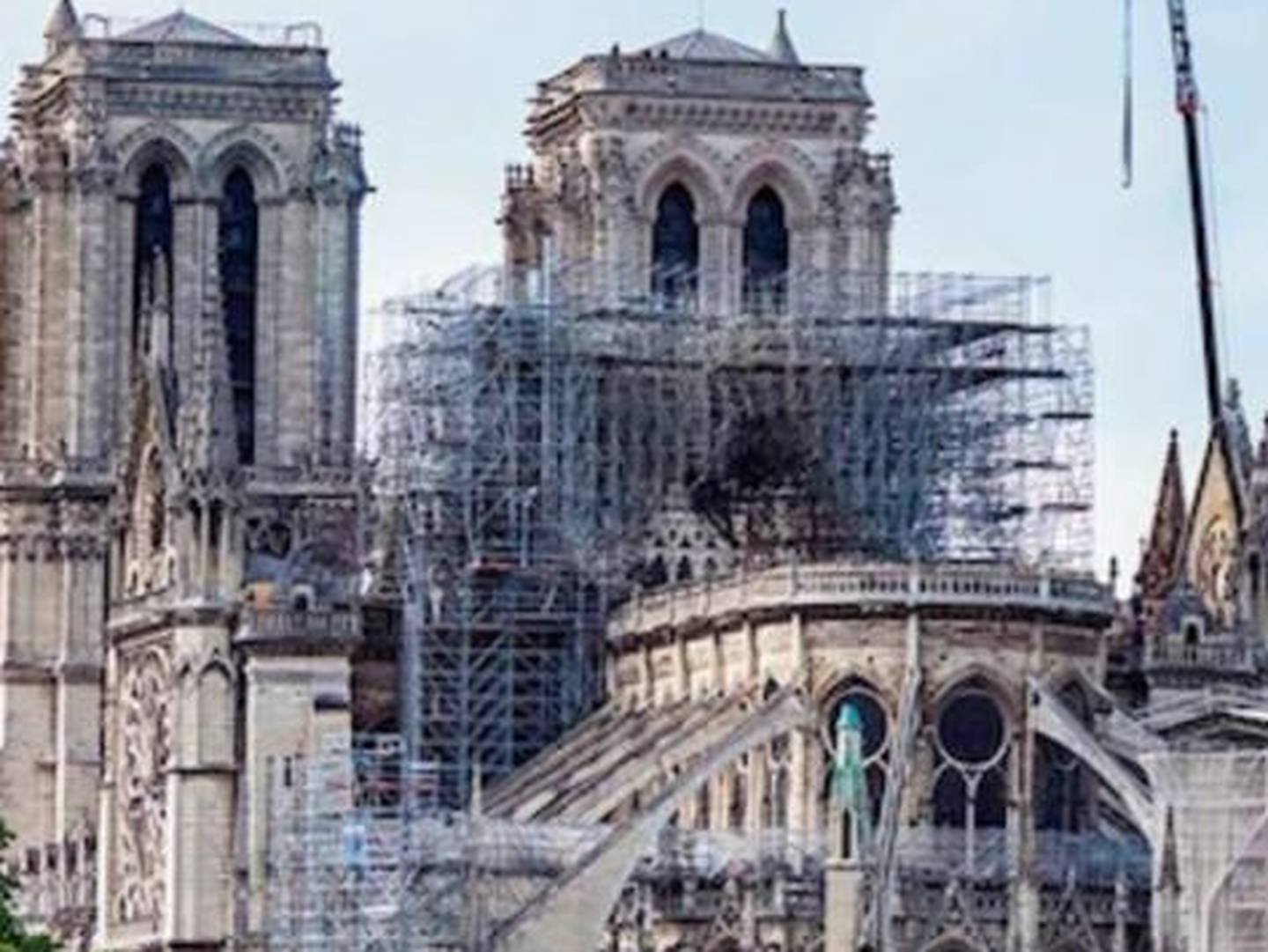 Con técnicas medievales, Notre Dame va renaciendo y se alista para deslumbrar