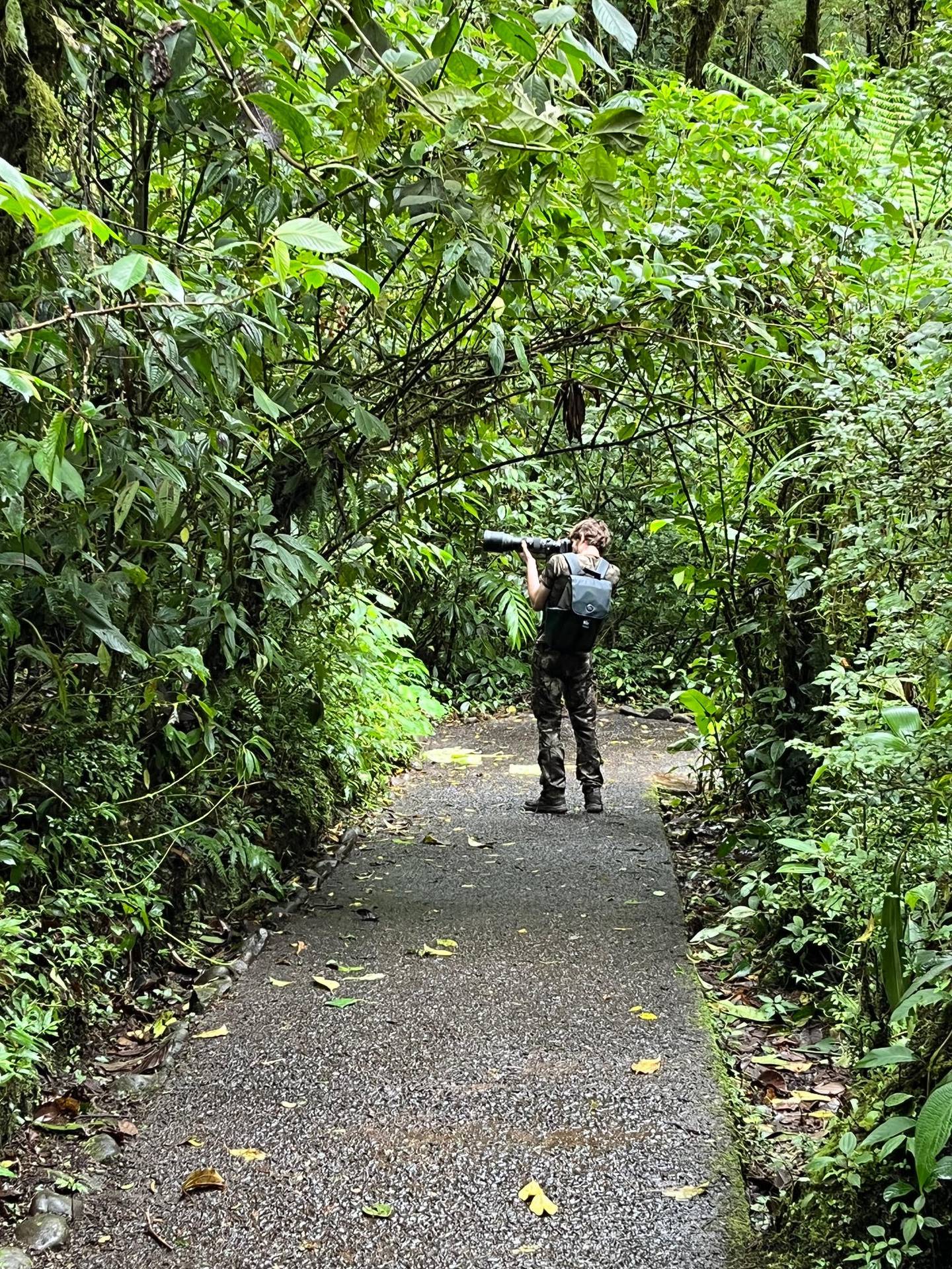 Además de robarles el equipo fotográfico en Garabito, los turistas europeos perdieron las fotos que habían captado en la primera semana de su viaje en Monteverde. Foto: Cortesía.