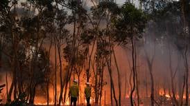 2019 tuvo una actividad ‘excepcional’ de incendios forestales alrededor del mundo