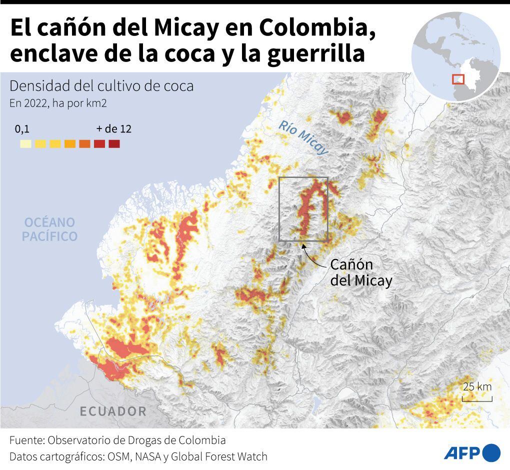 El Cañon del Micay es uno de los puntos estratégicos más importantes de los guerrilleros disidentes, ya que ahí tienen plantaciones de Cocaína. Foto: Gustavo Izus, Guillermo Rivas Pacheco, Gabriela Vaz/AFP