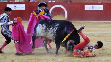 Mensajes en redes sociales que celebran muerte de torero en España tendrían castigo