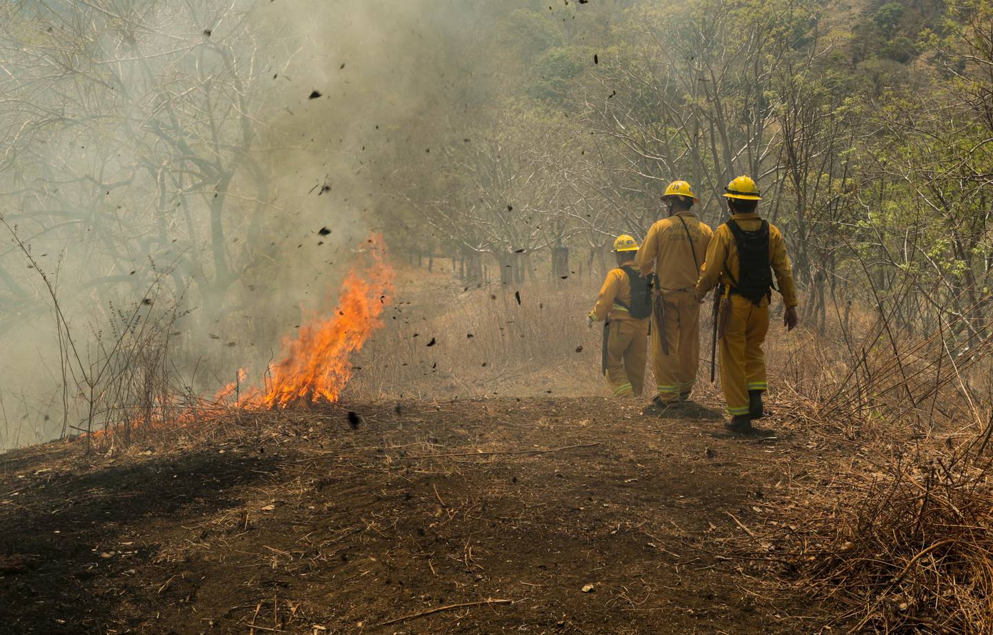 Incendios Forestales, lo atiende la birgada de bomberos forestales. Foto Alonso Tenorio