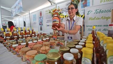 Alimentos saludables y artesanía útil distinguen la Feria del Gustico Costarricense