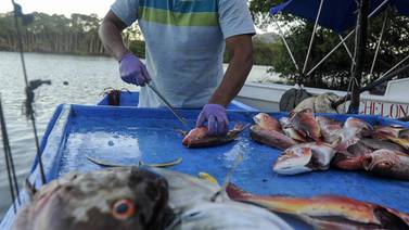 Pescadores se unen en red que promueve la sostenibilidad