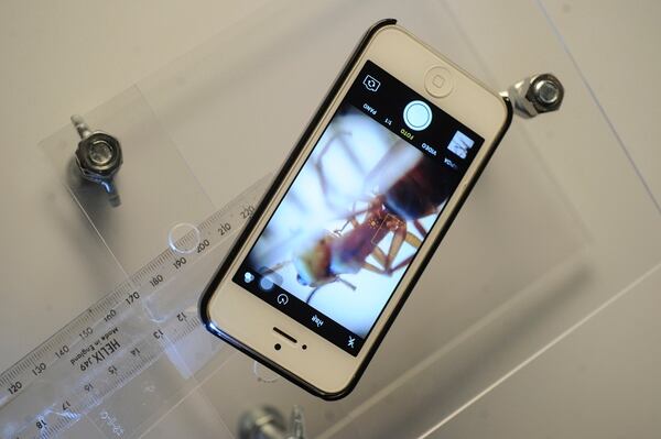 Celulares Se Transforman En Microscopios Caseros La Nacion