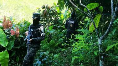 Honduras desbarata red de cultivo y producción de cocaína