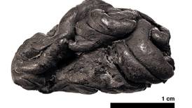 Un ‘chicle’ de hace 5.000 años permite a los científicos saber quién lo mascaba