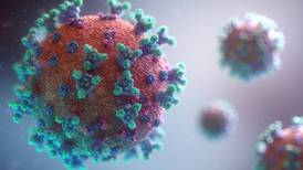 Detectada en Costa Rica otra variante de coronavirus 