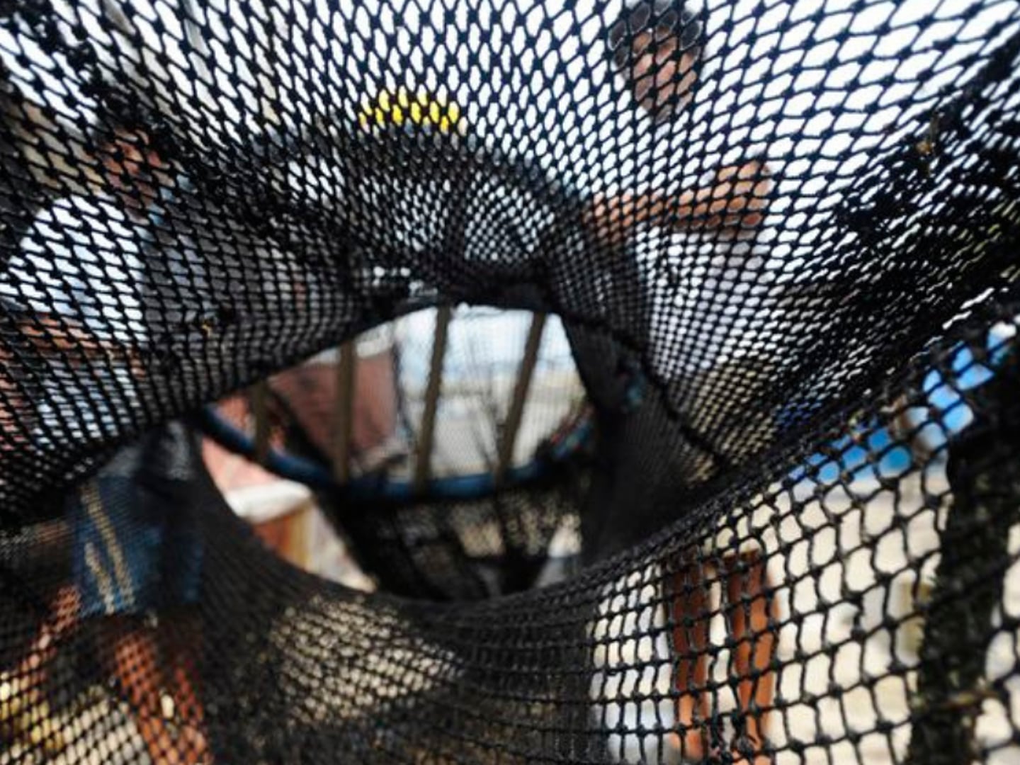 El Explicador | ¿Qué es la pesca de arrastre y por qué es considerada como un “crimen ambiental”?
