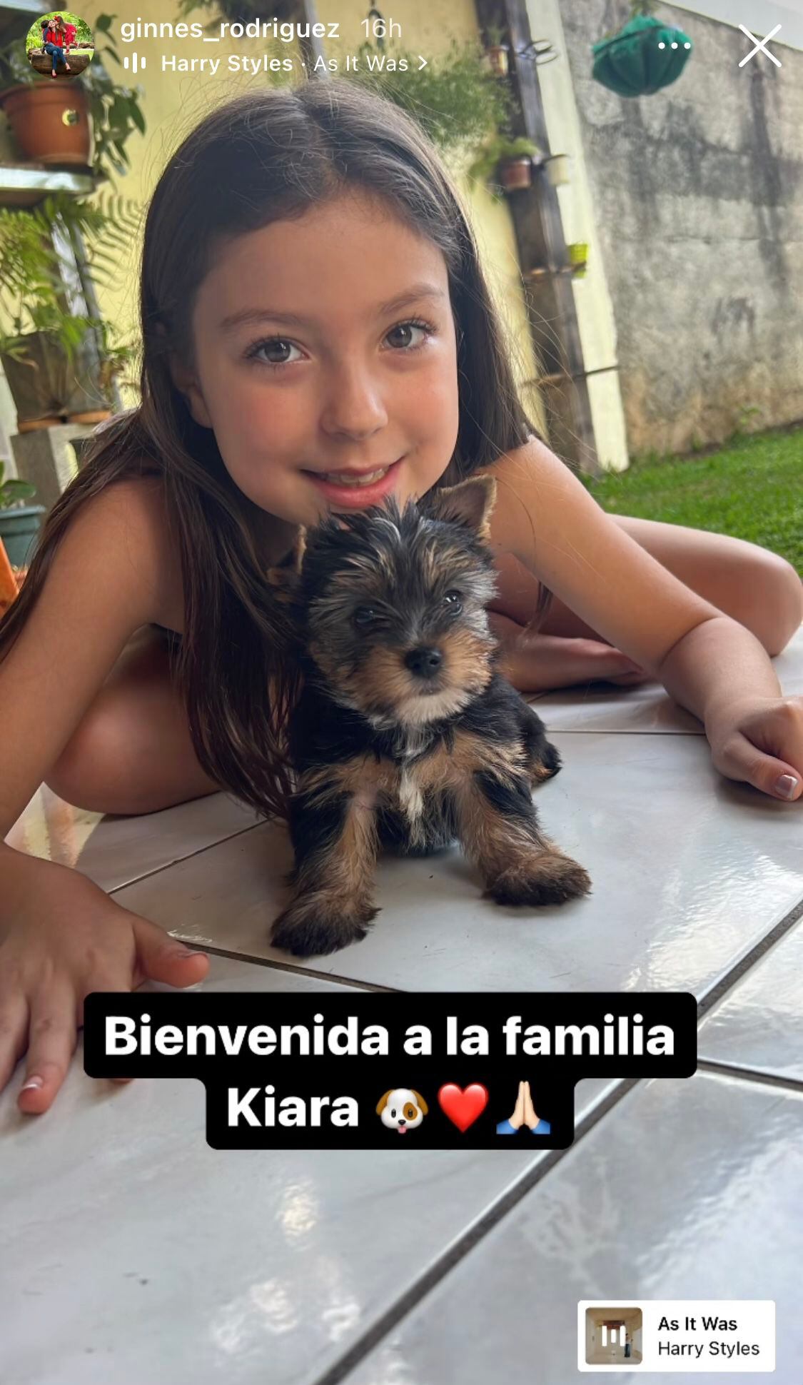 Kiara es la nueva perrita que forma parte de la familia de Ginnés Rodríguez. En la foto se le puede ver junto a Luciana. 