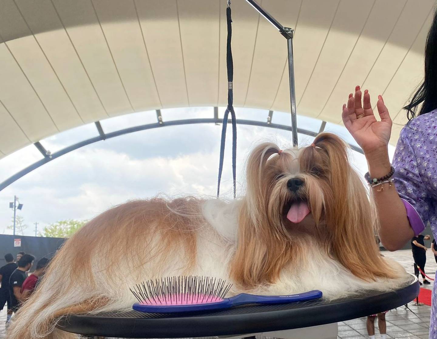 Las mascotas podrán disfrutar de peluquería, juegos, clases, adiestramiento e incluso atención veterinaria en la Expomascotería (Foto: Centro Comercial Oxígeno)