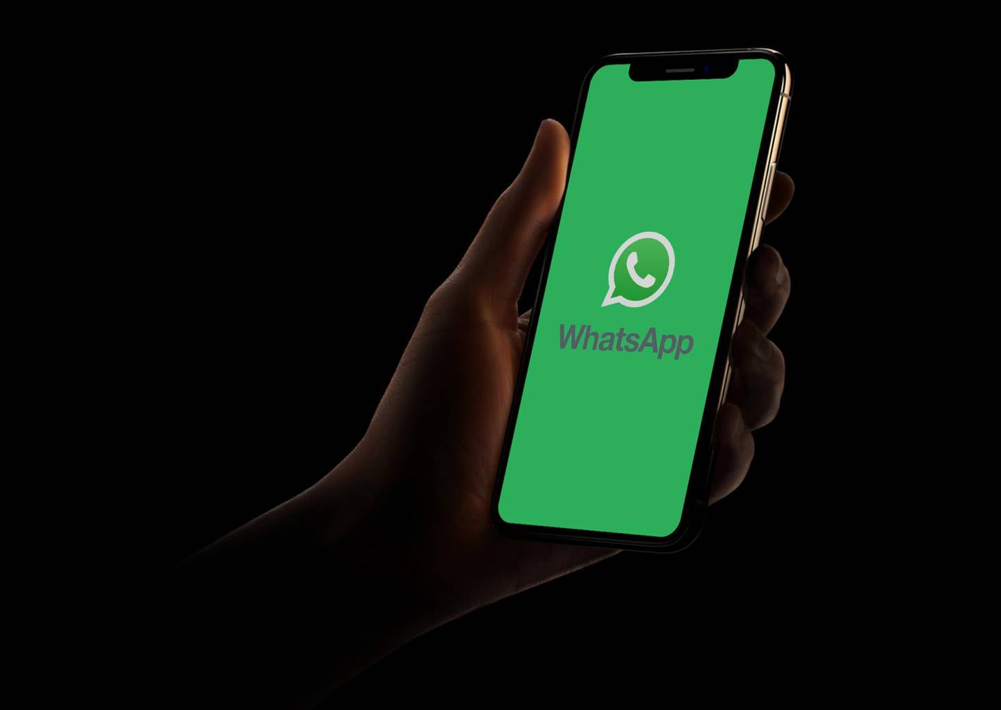 WhatsApp permitirá publicar audios de 30 segundos como estados | El Financiero | Shutterstock