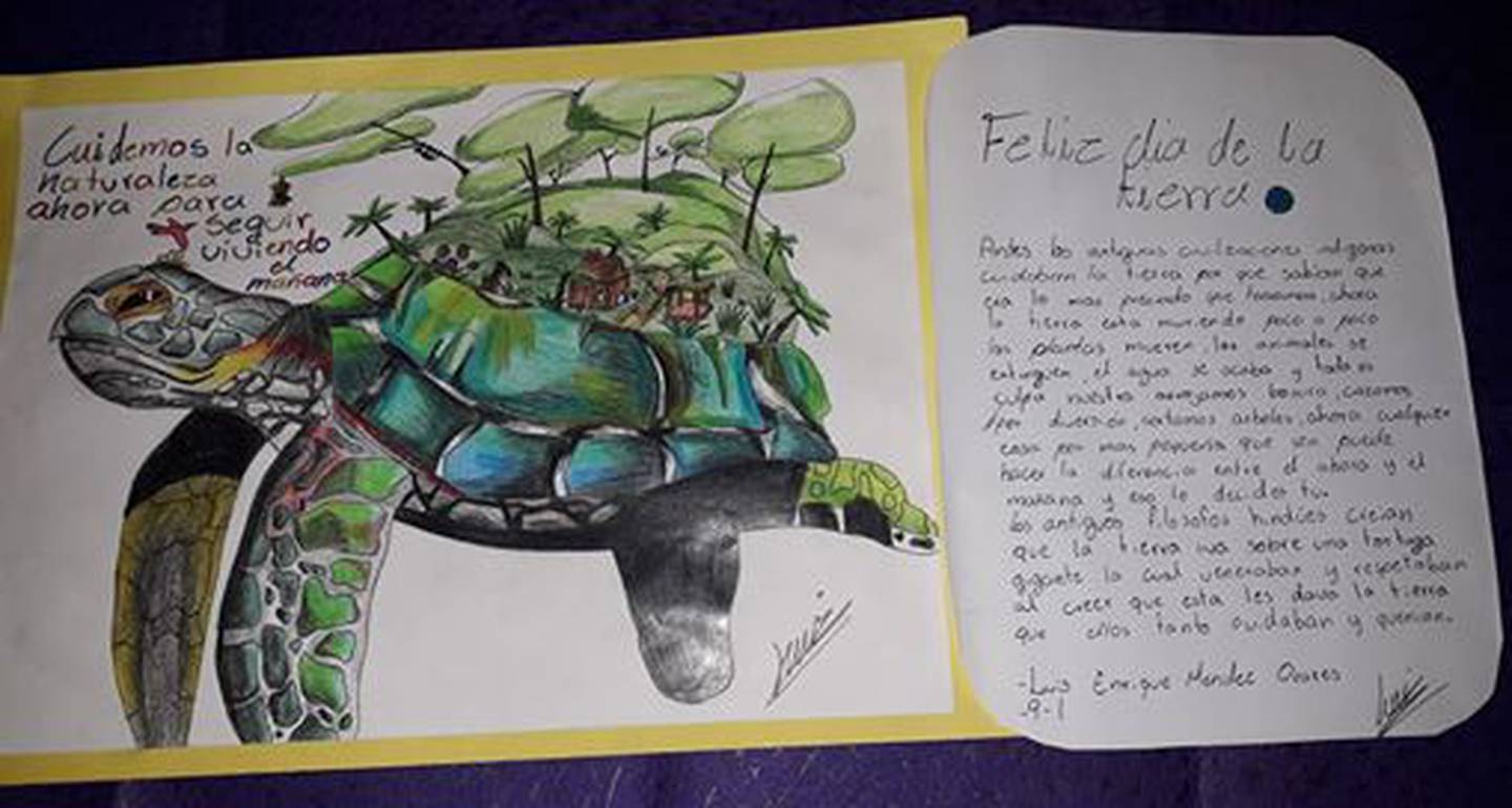 Cuando estaba en noveno, hace dos años, Luis Enrique  dibujó esta tortuga en un concurso sobre protección de la Tierra. Imagen: Facebook.
