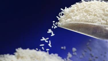 Gobierno prohíbe adicionar otros productos como regalía a ventas de arroz